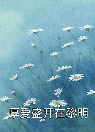 正在播放笹山希第8集