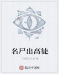 鸡毛飞上天55集免费观看下载